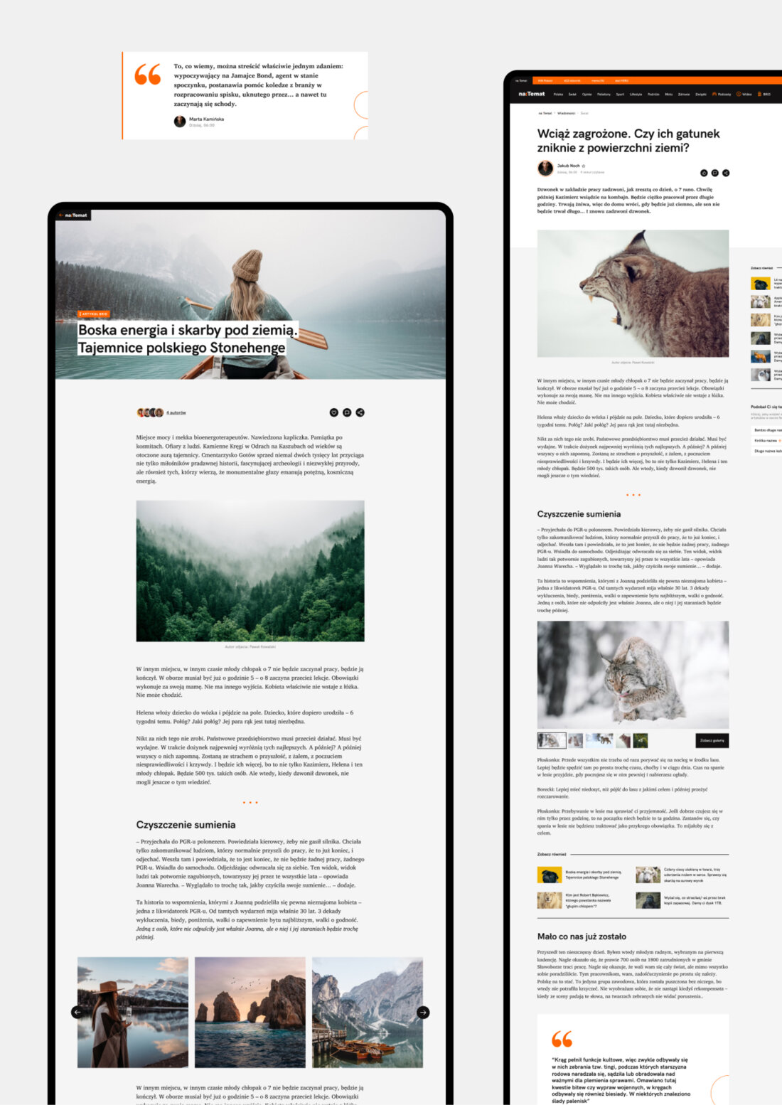 NaTemat website. NaTemat website.