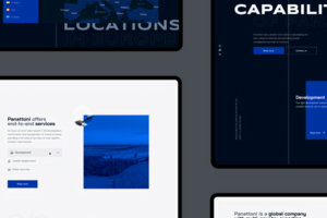 The Panattoni website. The Panattoni website.