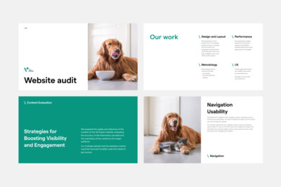 vet expert preview