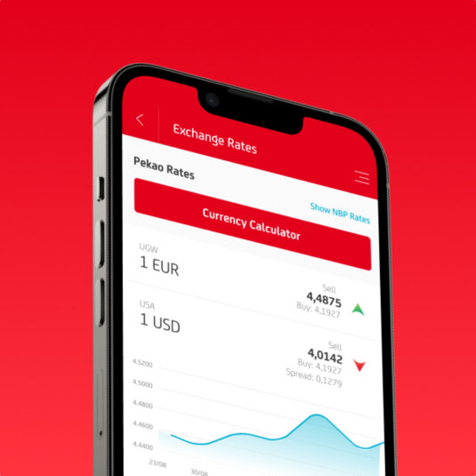 Peopay app's "Exchange Rates" screen. Peopay app's "Exchange Rates" screen.