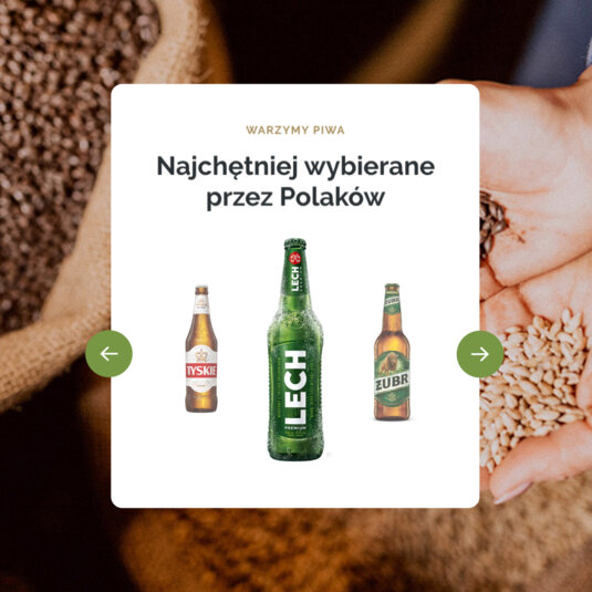 A tile section from the Kompania Piwowarska website. The "We brew beer" section shows three beers Poles drink most: Tyskie, Lech, and Żybr. A tile section from the Kompania Piwowarska website. The "We brew beer" section shows three beers Poles drink most: Tyskie, Lech, and Żybr.